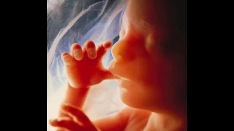 Abortti ja ihmiselämän pyhyys