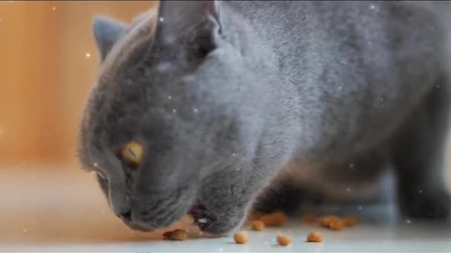 A fat man who likes to eat