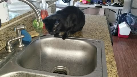 20240901 101939 Tux's Drinking Problem