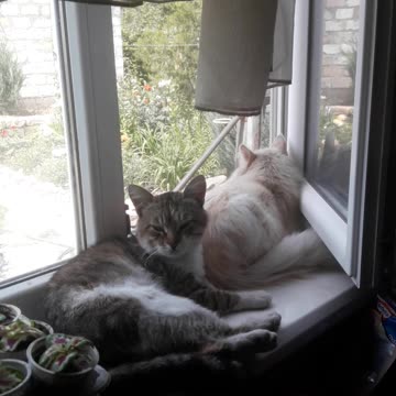 Sleep with a garden view