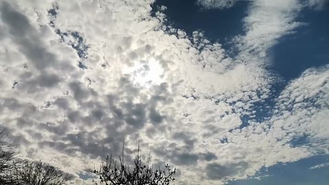 VID_17.03.2024 - Sunce Sja