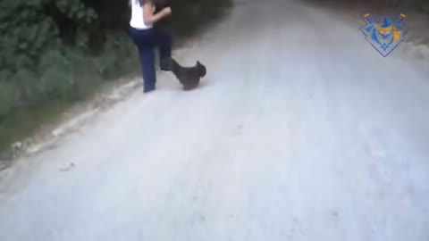 Funny animal attack. 99% try very hard to not laugh