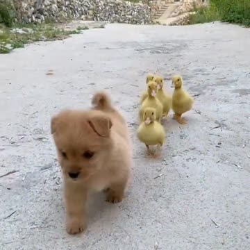 Live together in harmony