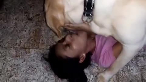 Cute dog