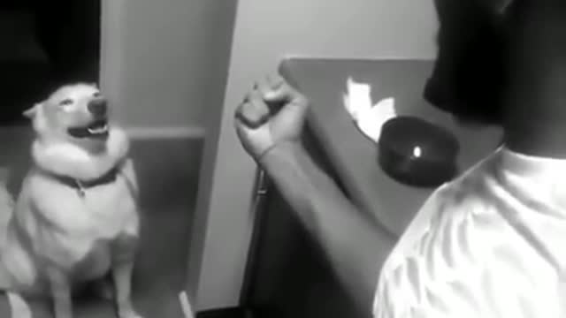 You dare speak to me in that tone of voice, Boy!