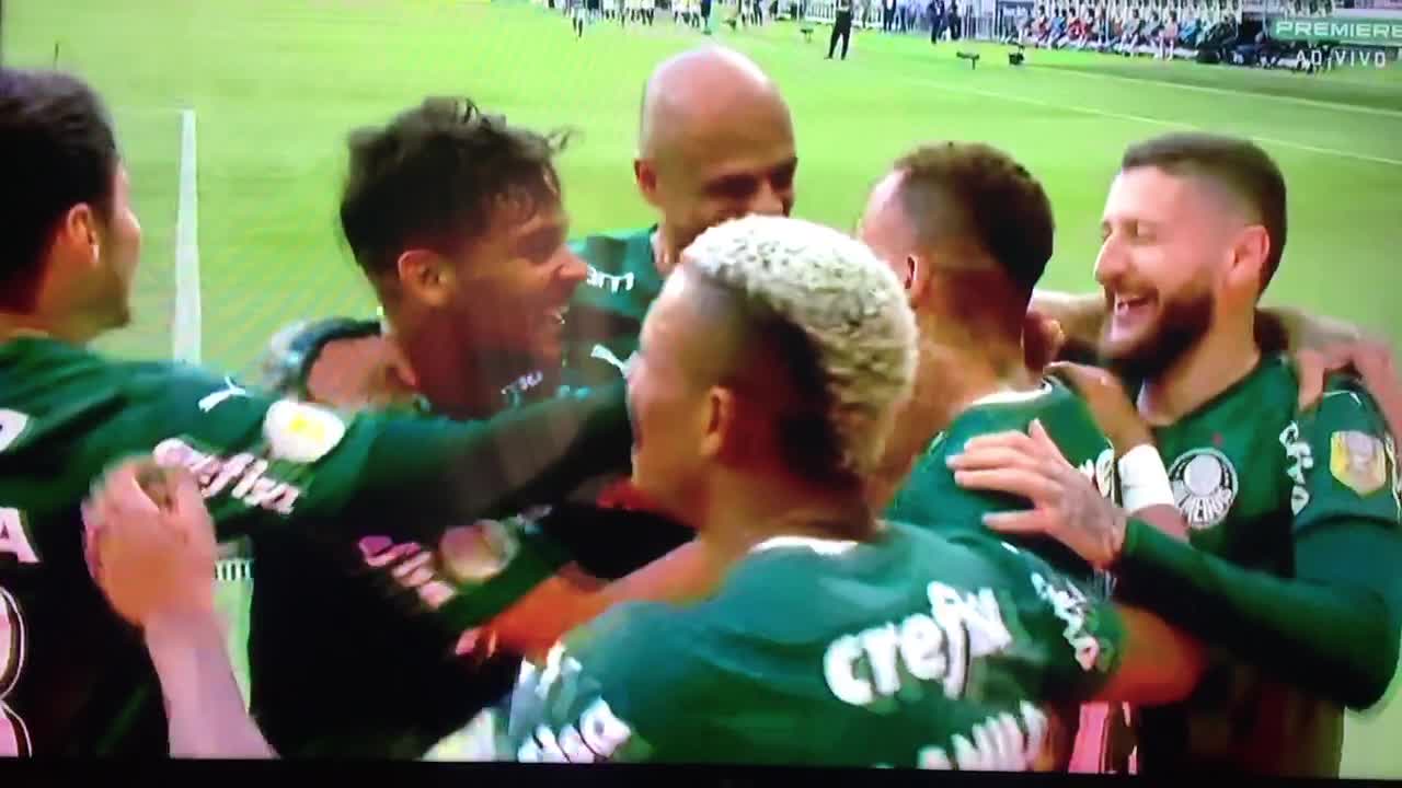 Palmeiras x sardinhas