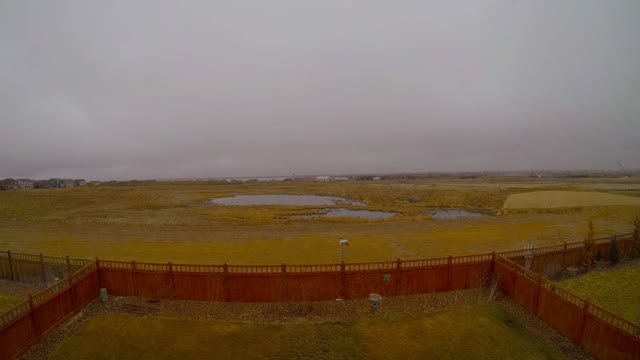 Backyard Blizzard Time Lapse (13-14 March, 2021)