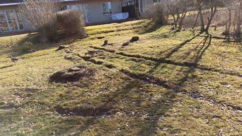 Hanna och Jimmy på promenad mot Karlslund