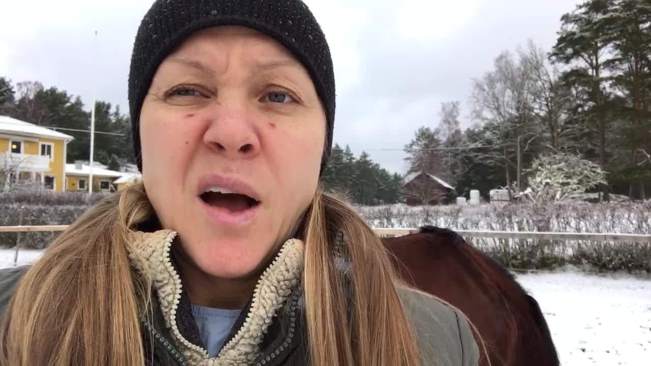 Tips on handling a pony