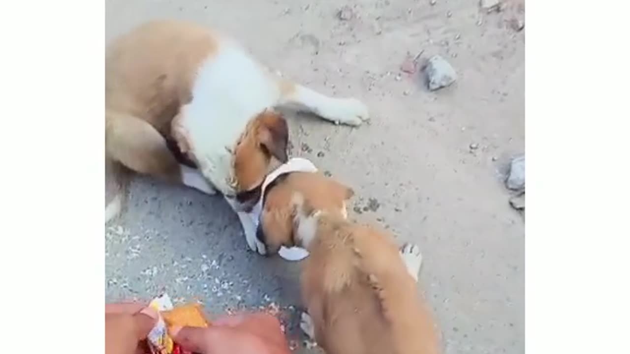 How are you to be done by the end the new house to get