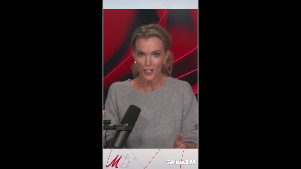 Megyn Kelly on the fake Democrat leaders after Trump hit job number 2