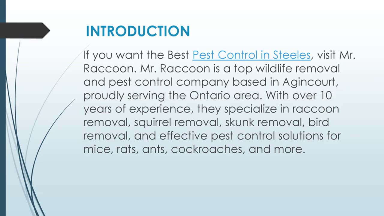 Best Pest Control in Steeles