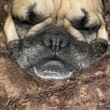 I don’t do rainy days