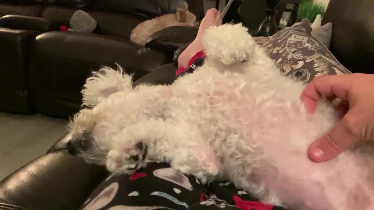 Cute baby loves her belly rubbed