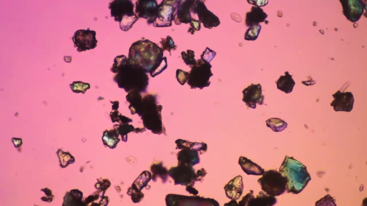 Microscopic Polorized Sand