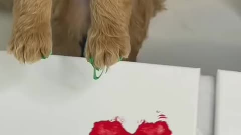 Puppy Paintings #shorts