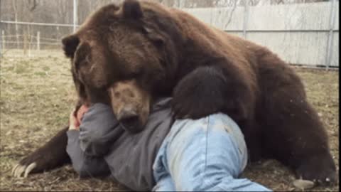 Gif video of man sleeping with bear