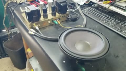 ADS 206-0349 speakers for ebay