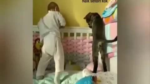 Funny cats compilation!