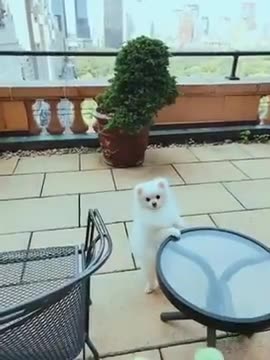 DZ6NfSL6b2eQzo9KzKW2hp