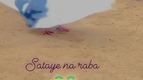 Itna Bhi Koi Sataye Na Rabba