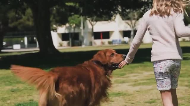 Girl playing with a dog