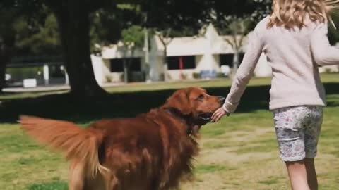 Girl playing with a dog