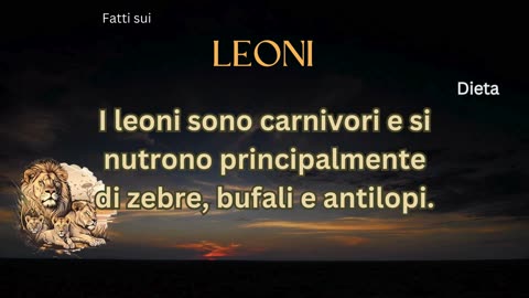 Fatto del Leone 5 - Cosa mangiano i leoni?