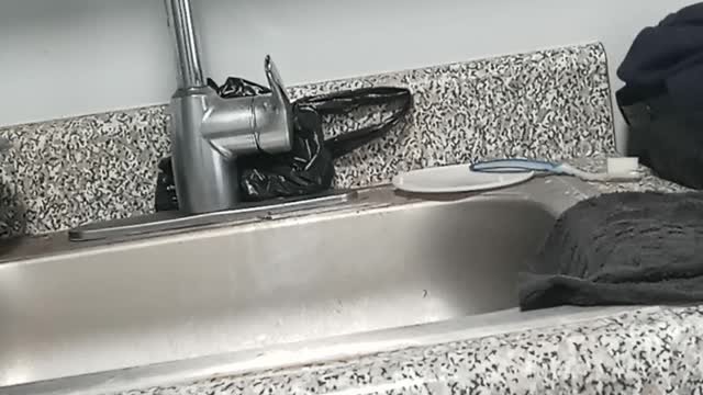 Stick fork 🍴 in COVID