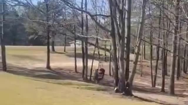 100% chance of going wrong