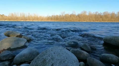 Relaxing Music | Sleeping, Meditation, Stress Relief | [1442] ⭐️