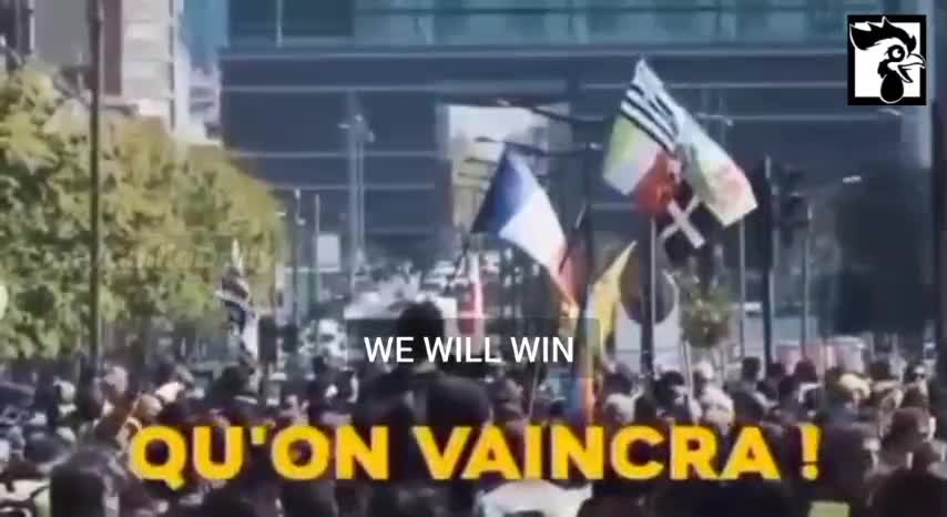 France: The Yellow Vests have returned. "You better not push us to the streets"