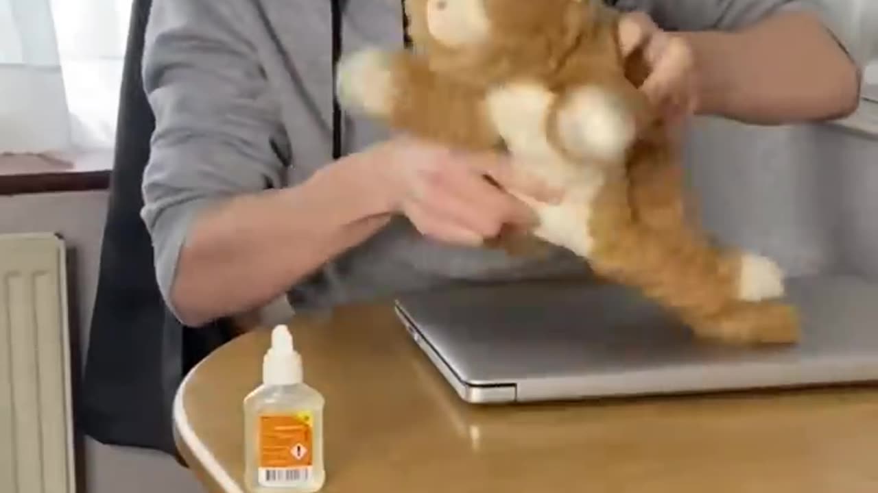 Teaching naughty cats a lesson