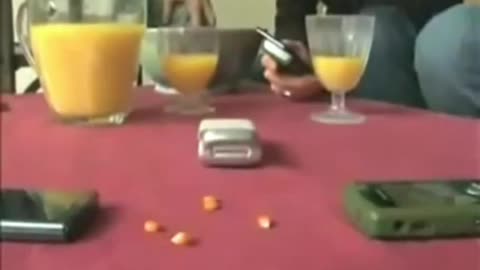 Cellular Phones Cook Your Brain - Literally | 2000s Video Shows Cell Phones Pop Popcorn