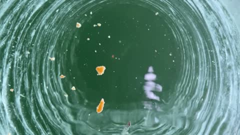 First timer ice fishing