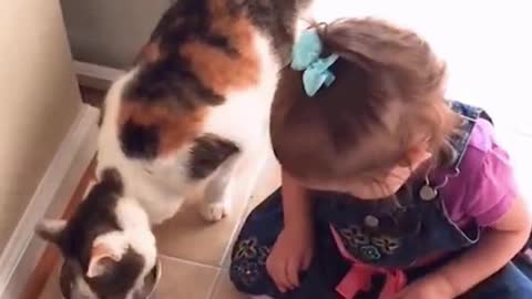 Small Girl Give Food His Cute Cat, Lough and Enjoy More