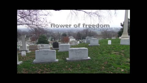 Flower of Freedom