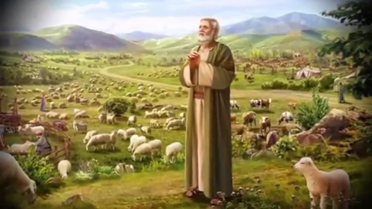 If This Didn't Happen On Live TV You Would Never Believe It