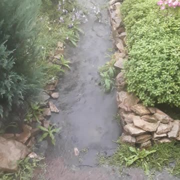 The rain flooded the paths