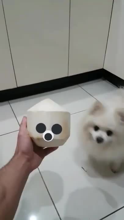 cumlord realises he looks like a peeled coconut and then he do a spin