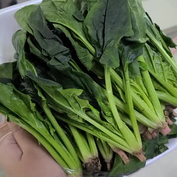 Spinach is very green and good