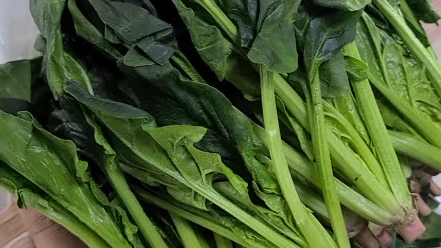 Spinach is very green and good