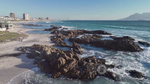 Cape Town's Coastal Gems_ Top Beaches