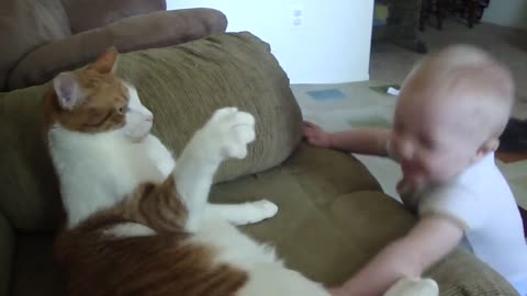 Cat Swatting at baby.....hilarious