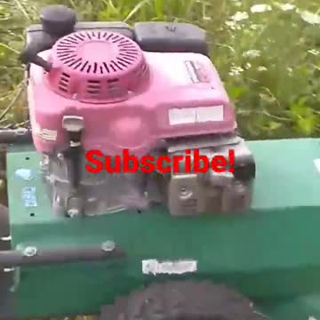 The Goat Of Billy Goat