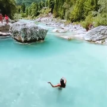 funny, cats, funny animals, funny cats,