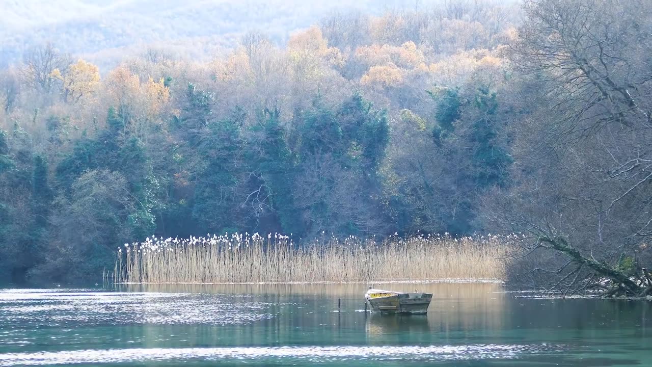 Peaceful Mountain Ambience and Birdsong • Nature Sounds, Mindfulness, Relaxation