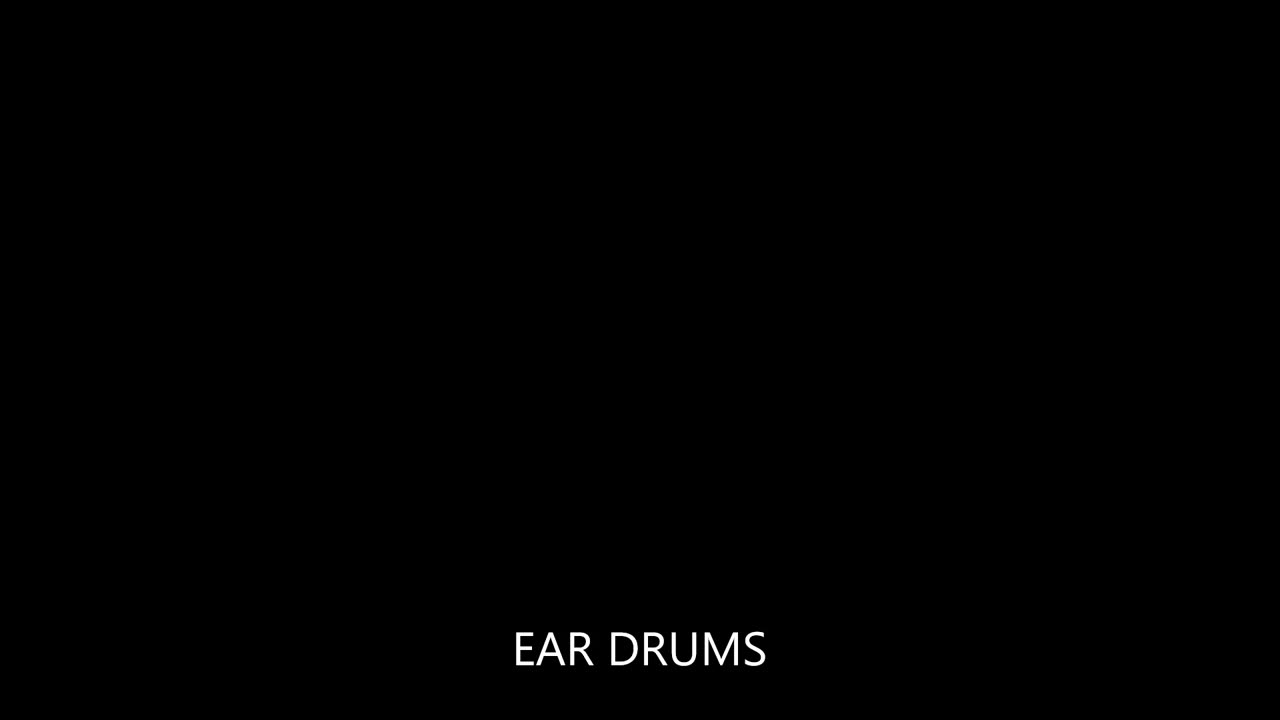 EAR DRUMS