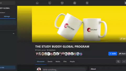 THE STUDY BUDDY GLOBAL PROGRAM