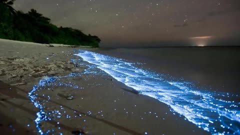 Sea of stars - vaadhoo island, Maldives